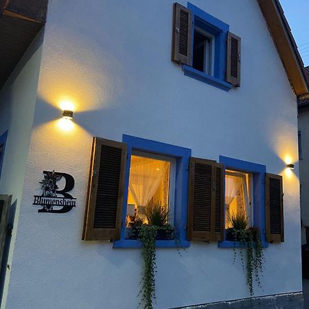 Ferienwohnung Blumenshein Bei Speyer Karlsruhe Familienfreundlich 5 Pers Zeiskam Exterior foto