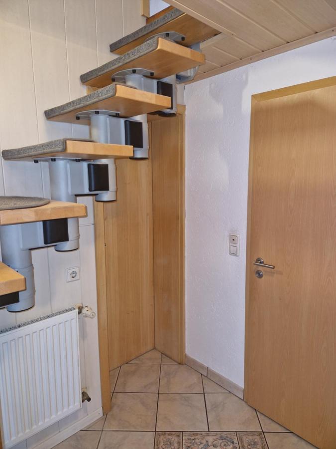 Ferienwohnung Blumenshein Bei Speyer Karlsruhe Familienfreundlich 5 Pers Zeiskam Exterior foto