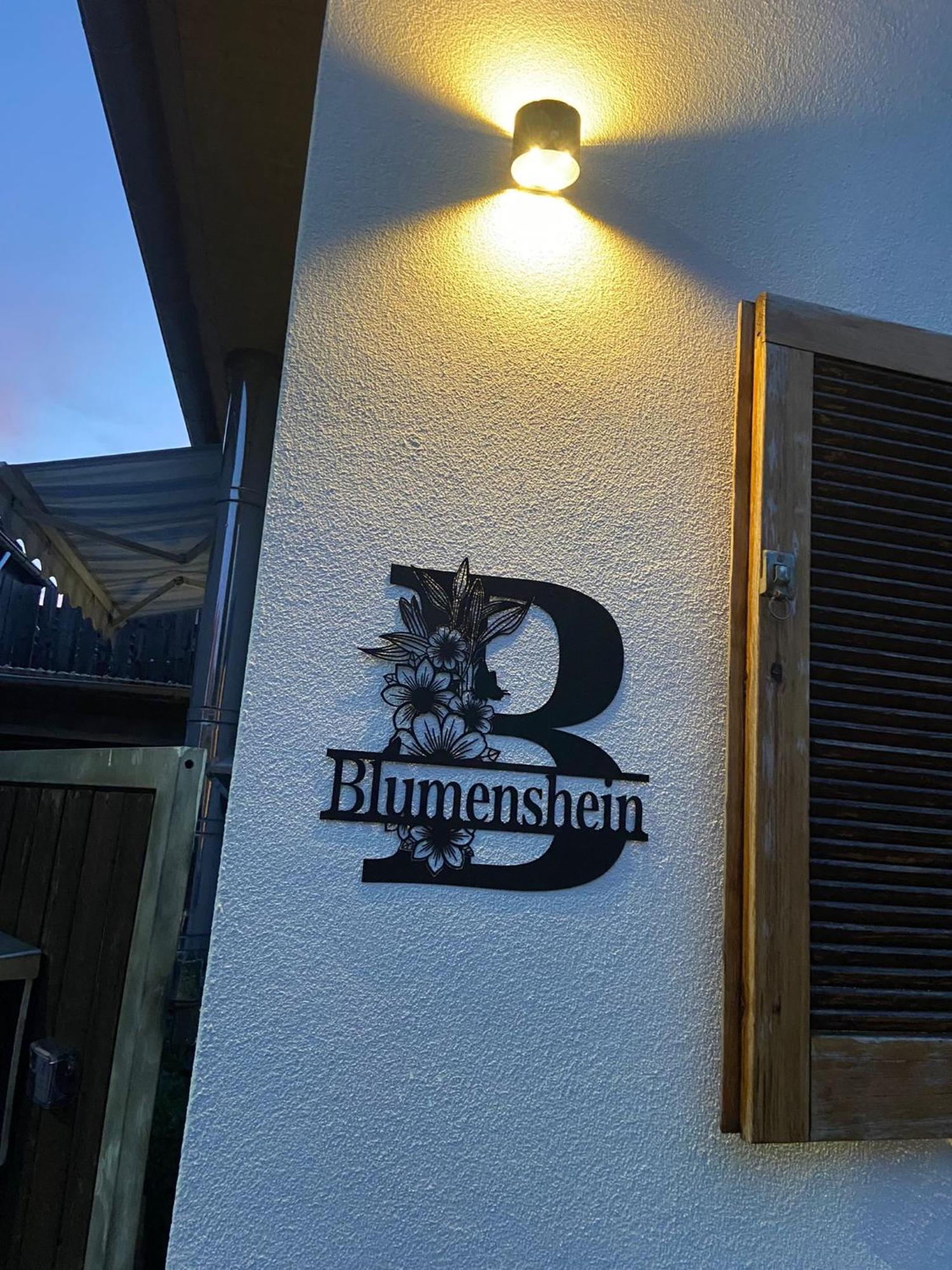 Ferienwohnung Blumenshein Bei Speyer Karlsruhe Familienfreundlich 5 Pers Zeiskam Exterior foto