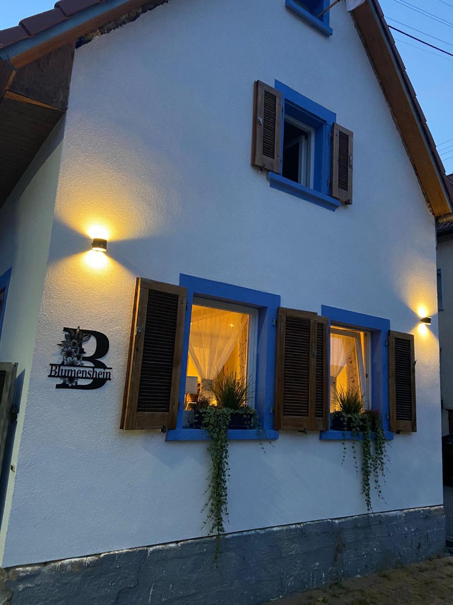 Ferienwohnung Blumenshein Bei Speyer Karlsruhe Familienfreundlich 5 Pers Zeiskam Exterior foto